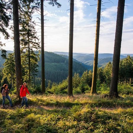 Ferienwohnung Im Zentrum Brilons Zewnętrze zdjęcie